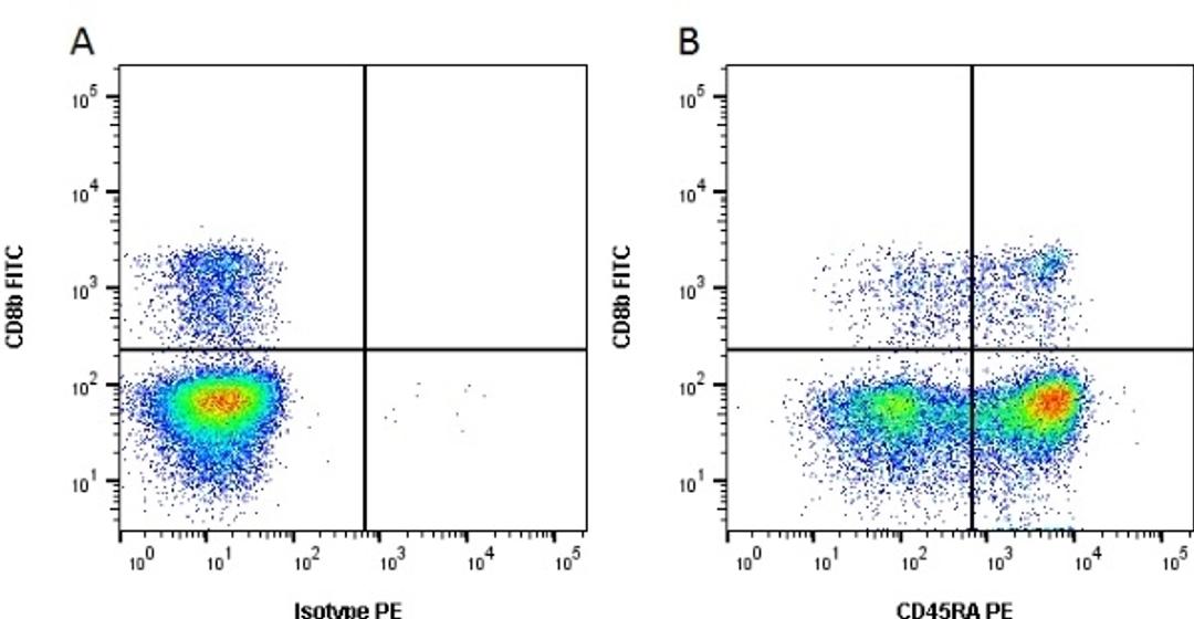 Figure A. mouse anti porcine CD8b. Figure B. mouse anti porcine CD8b and mouse anti porcine CD45RA. 