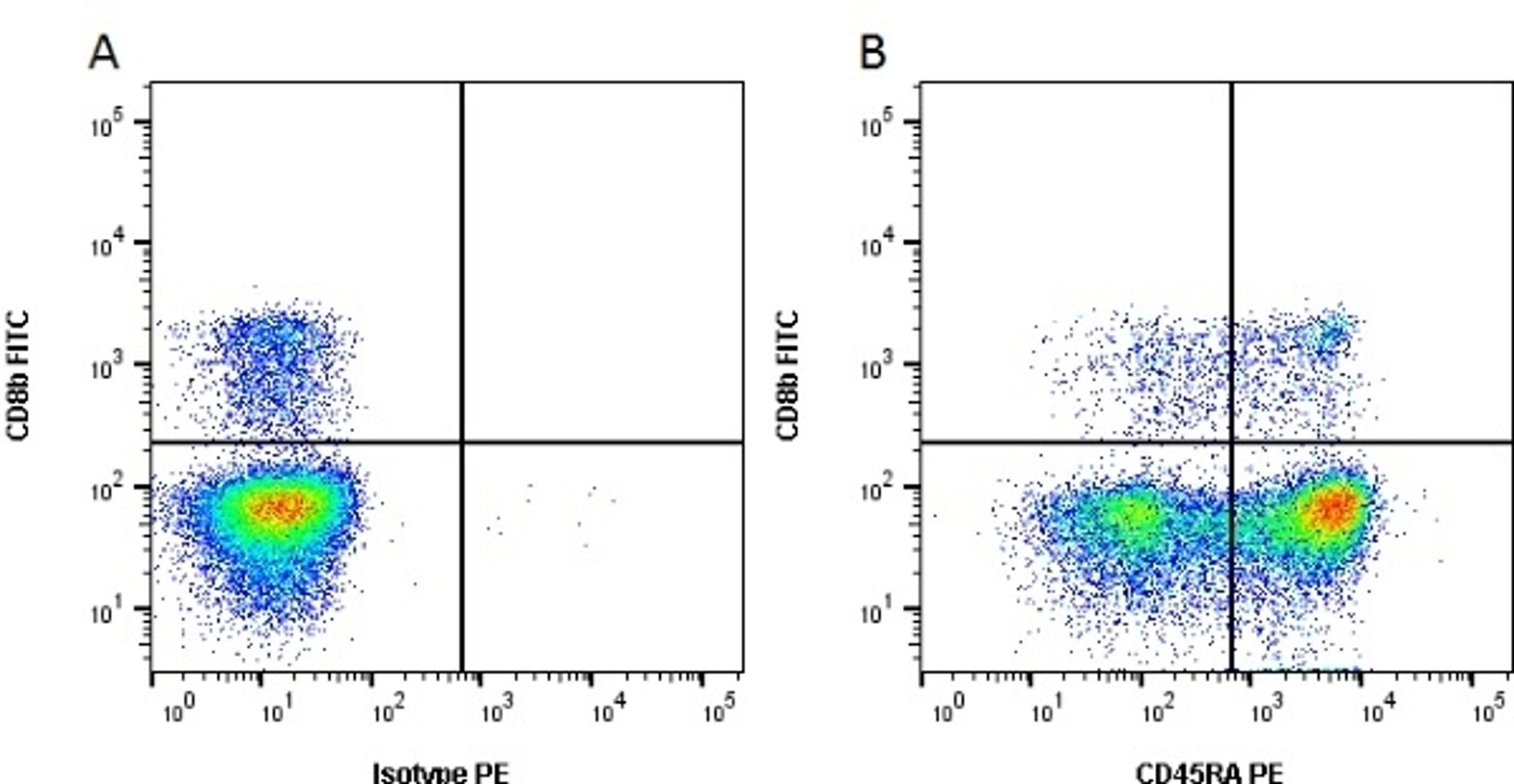 Figure A. mouse anti porcine CD8b. Figure B. mouse anti porcine CD8b and mouse anti porcine CD45RA. 