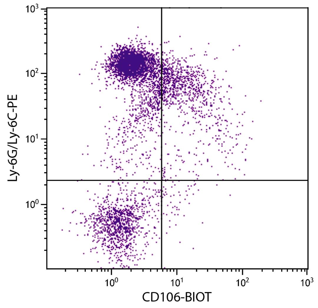 BALB/c mouse bone marrow cells were stained with Rat Anti-Mouse CD106-BIOT (Cat. No 98-546) and Rat Anti-Mouse Ly-6G/Ly-6C-PE followed by Streptavidin-FITC .