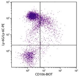 BALB/c mouse bone marrow cells were stained with Rat Anti-Mouse CD106-BIOT (Cat. No 98-546) and Rat Anti-Mouse Ly-6G/Ly-6C-PE followed by Streptavidin-FITC .