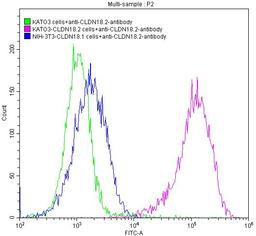 Untransfected KATO3 cells (green line), transfected Human CLDN18.2 KATO3 stable cells (red line) and transfected Human CLDN18.1 NIH-3T3 stable cells (blue line) were stained with anti-CLDN18.2 antibody (2µg/1*10<sup>6</sup> cells), washed and then followed by FITC-conjugated anti-Human IgG Fc antibody and analyzed with flow cytometry.