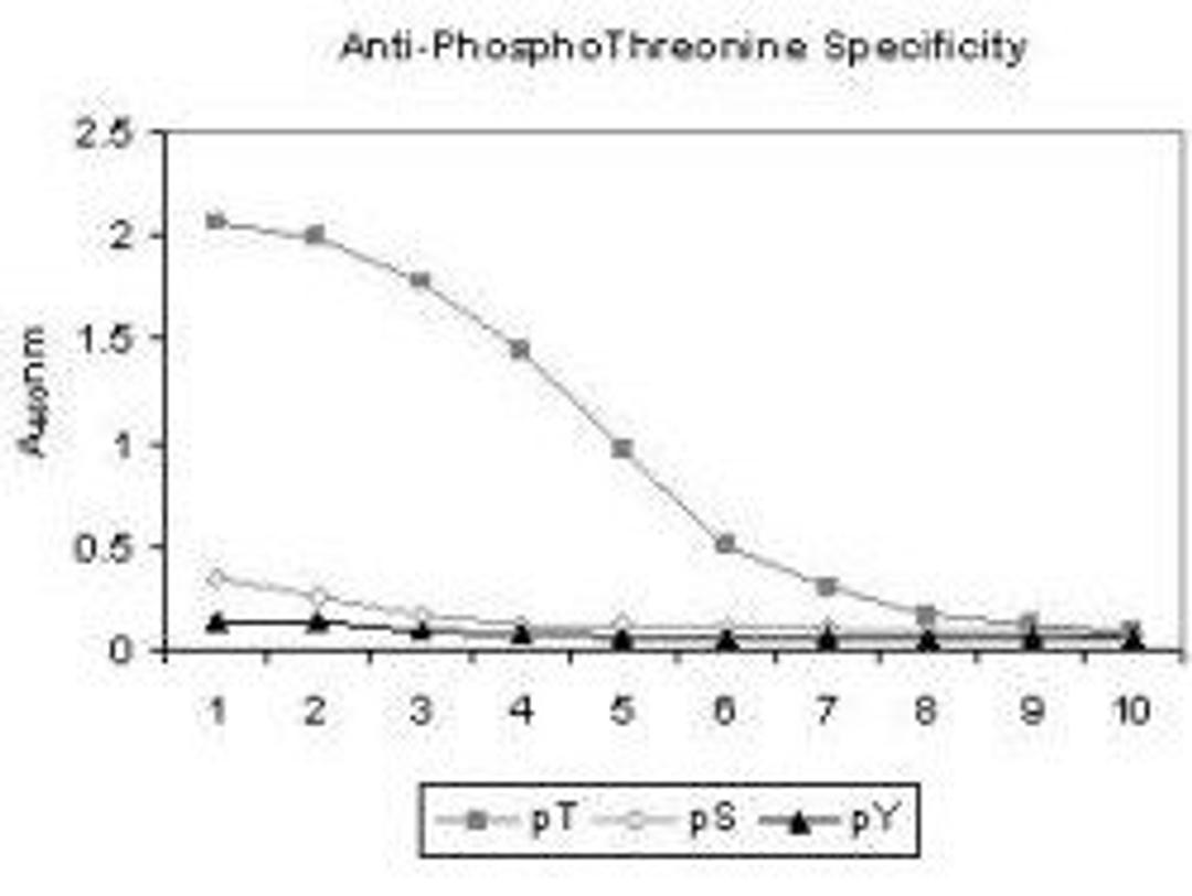 Line graph illustrates about the Ag-Ab reactions using different concentrations of antigen and serial dilutions of using phosphothreonine antibody