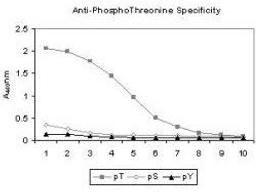 Line graph illustrates about the Ag-Ab reactions using different concentrations of antigen and serial dilutions of using phosphothreonine antibody