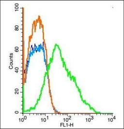 Flow cytometric analysis of (mo) Nephrocyte Cell using IGSF11 antibody.