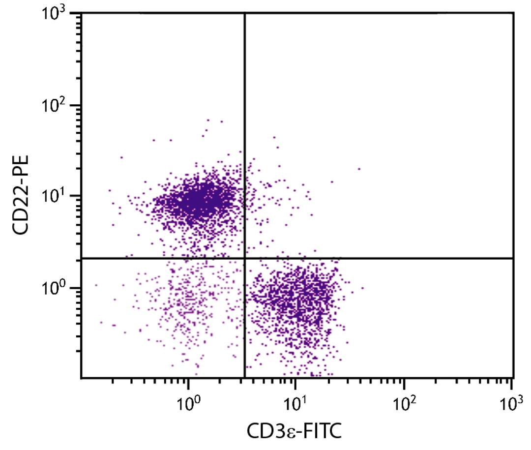 BALB/c mouse splenocytes were stained with Rat Anti-Mouse CD22-PE (Cat. No. 98-679) and Rat Anti-Mouse CD3?-FITC .