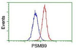 Flow Cytometry: LMP2/PSMB9 Antibody (1D1) [NBP2-01817] - Analysis of Jurkat cells, using anti-Proteasome 20S LMP2 antibody, (Red), compared to a nonspecific negative control antibody (Blue).