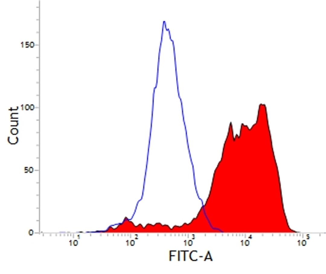 Staining of pig alveolar macrophages with Mouse anti Pig CD203a