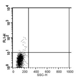 Flow cytometric analysis of human peripheral blood lymphocytes using CD123 antibody (FITC)