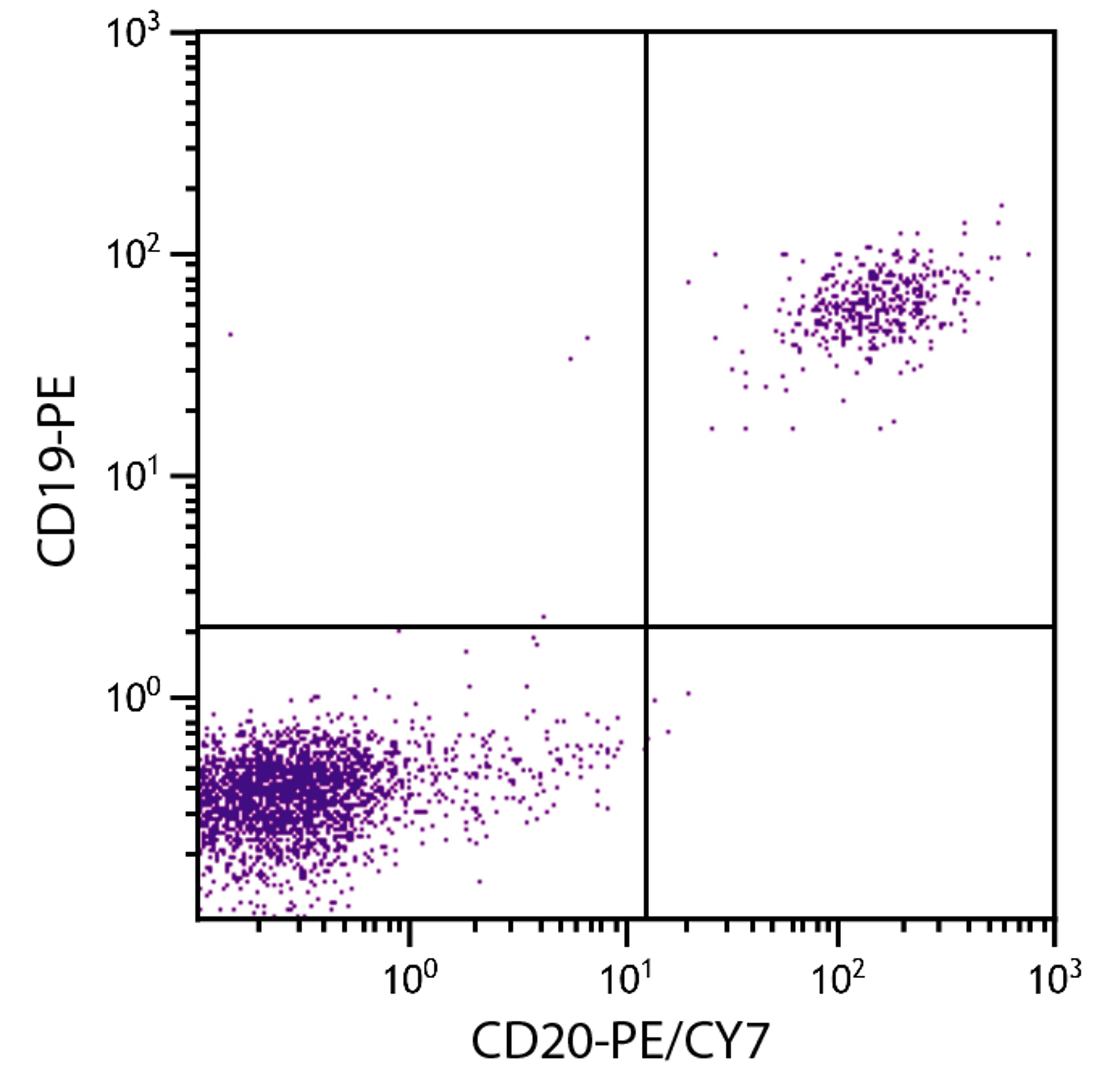 Human peripheral blood lymphocytes were stained with Mouse Anti-Human CD20-PE/CY7 (Cat. No. 99-369) and Mouse Anti-Human CD19-PE .