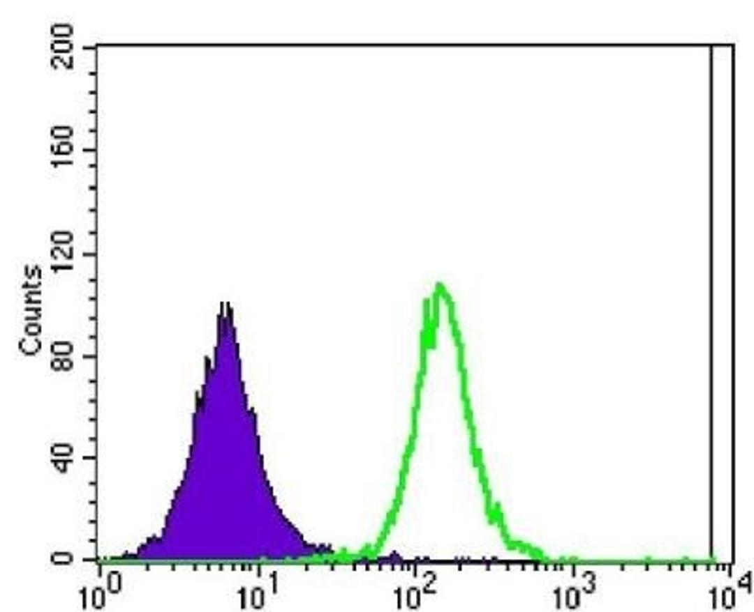 Flow Cytometry: Ataxin 1 Antibody (2F5) [NBP1-51689] - Flow cytometric analysis of Jurket cells using ATXN1 mouse mAb (green) and negative control (purple).