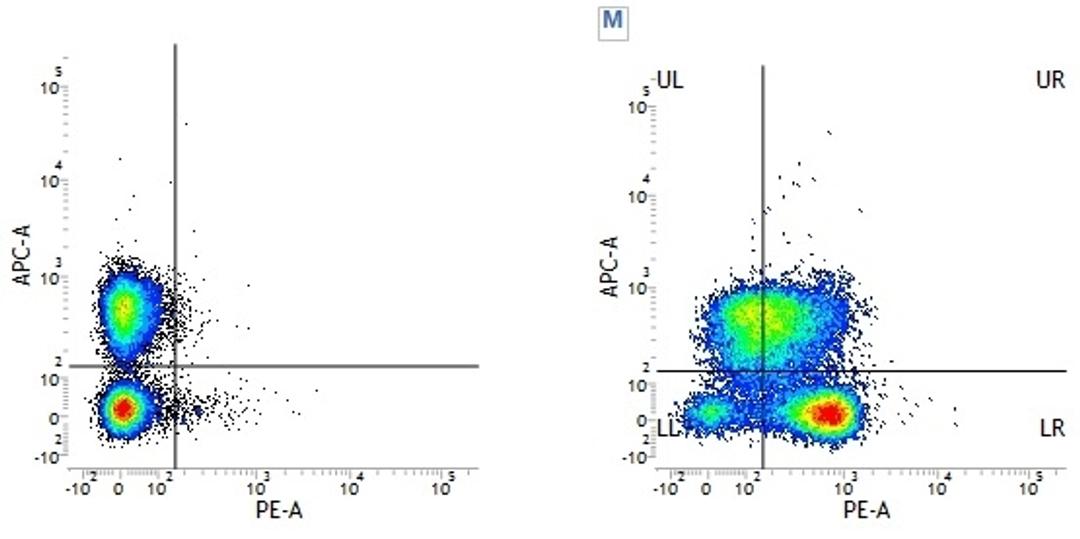 Figure A. Mouse anti Human CD3. Figure B. Mouse anti Human CD3 and Mouse anti Human CD102. 