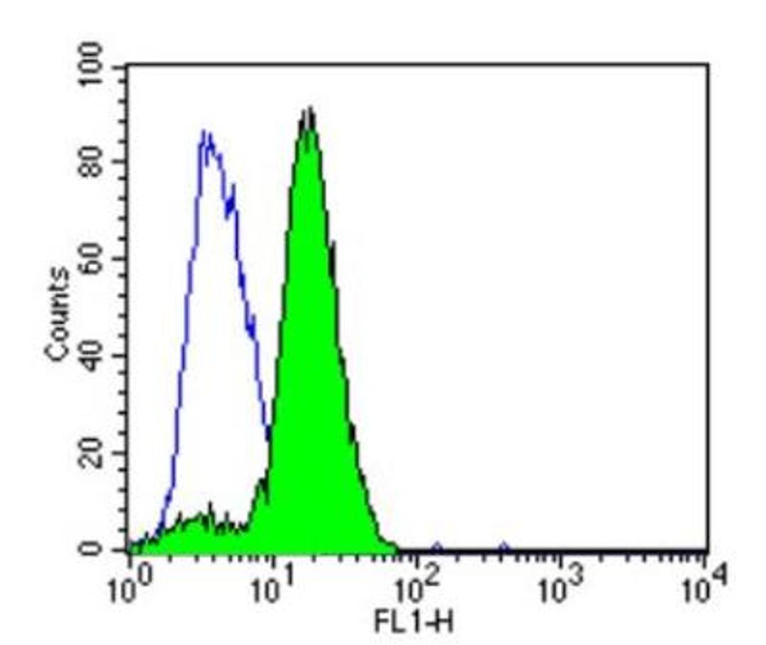 Flow Cytometry: ARF1 Antibody (1D9) [NB300-505] - Analysis of 3T3 cells compared to an isotype control (blue).