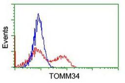 Flow Cytometry: TOMM34 Antibody (2A9) [NBP2-00892] - HEK293T cells transfected with either overexpression plasmid (Red) or empty vector control plasmid (Blue) were immunostained by anti-TOMM34 antibody, and then analyzed by flow cytometry.