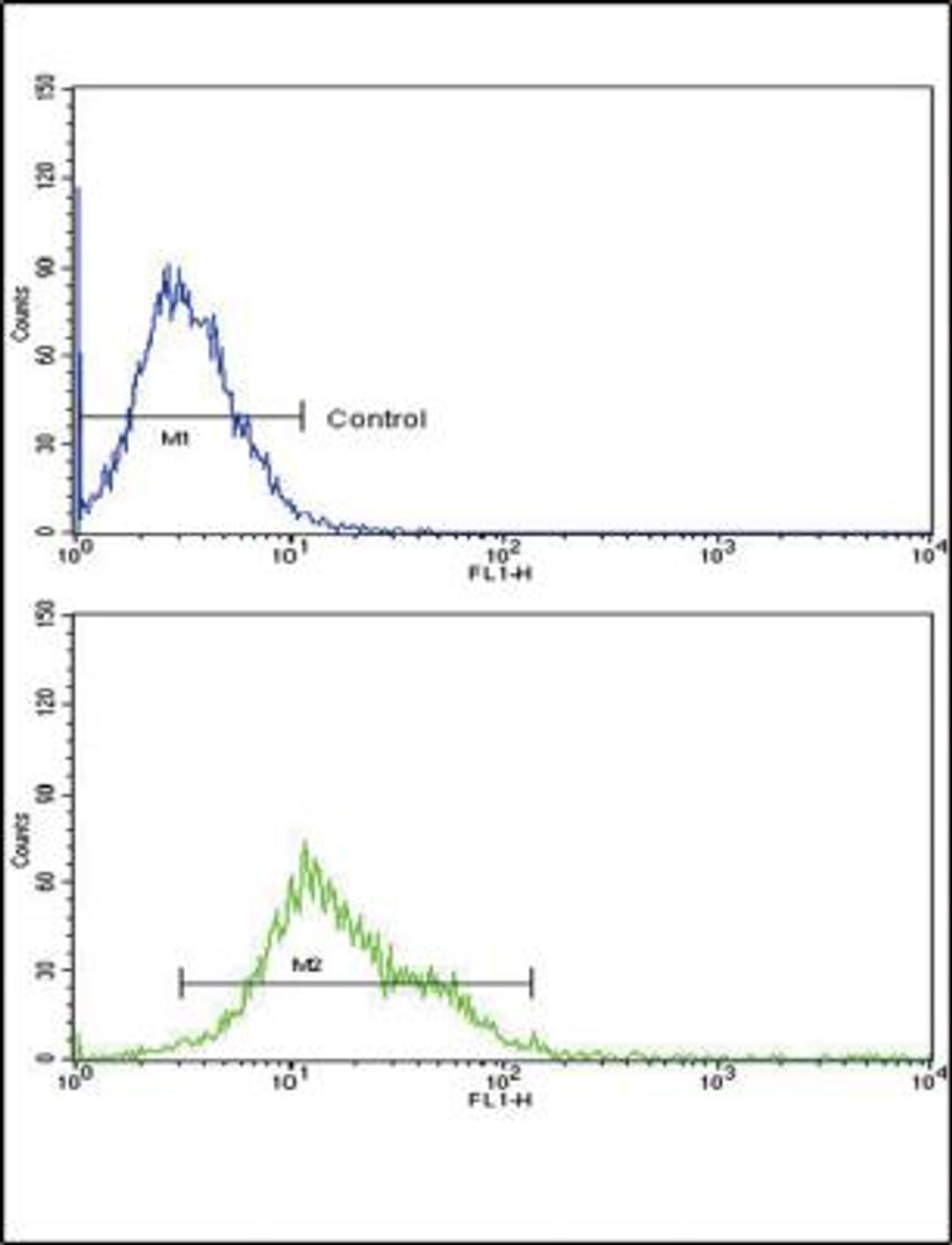 Flow Cytometry: 12-Lipoxygenase Antibody [NBP2-29941] - Flow cytometric analysis of k562 cells (bottom histogram) compared to a negative control cell (top histogram).FITC-conjugated goat-anti-rabbit secondary antibodies were used for the analysis.