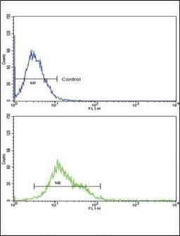 Flow Cytometry: 12-Lipoxygenase Antibody [NBP2-29941] - Flow cytometric analysis of k562 cells (bottom histogram) compared to a negative control cell (top histogram).FITC-conjugated goat-anti-rabbit secondary antibodies were used for the analysis.