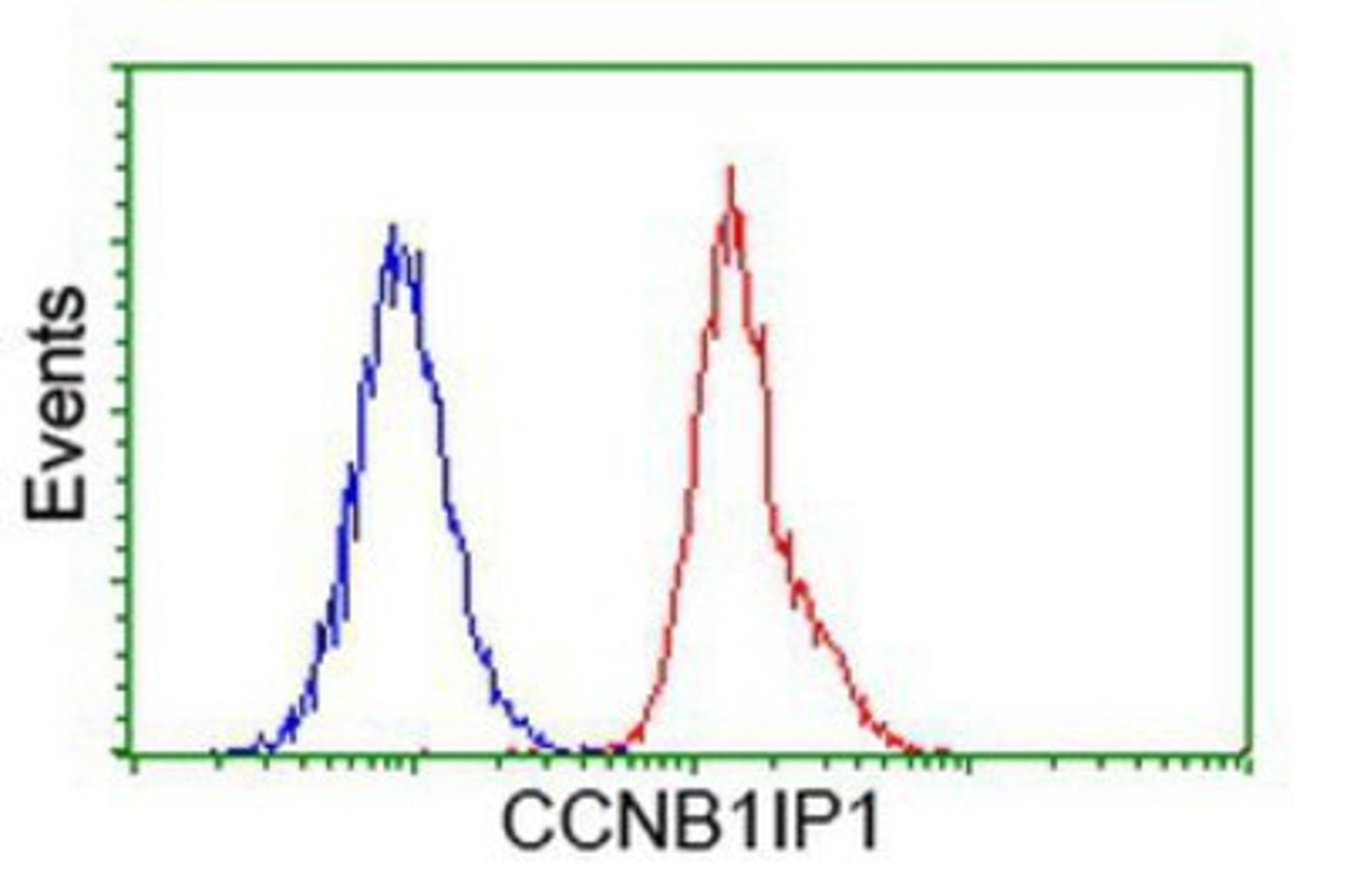 Flow Cytometry: CCNB1IP1 Antibody (4H3) [NBP2-00600] - Analysis of Hela cells, using anti-CCNB1IP1 antibody, (Red), compared to a nonspecific negative control antibody (Blue).