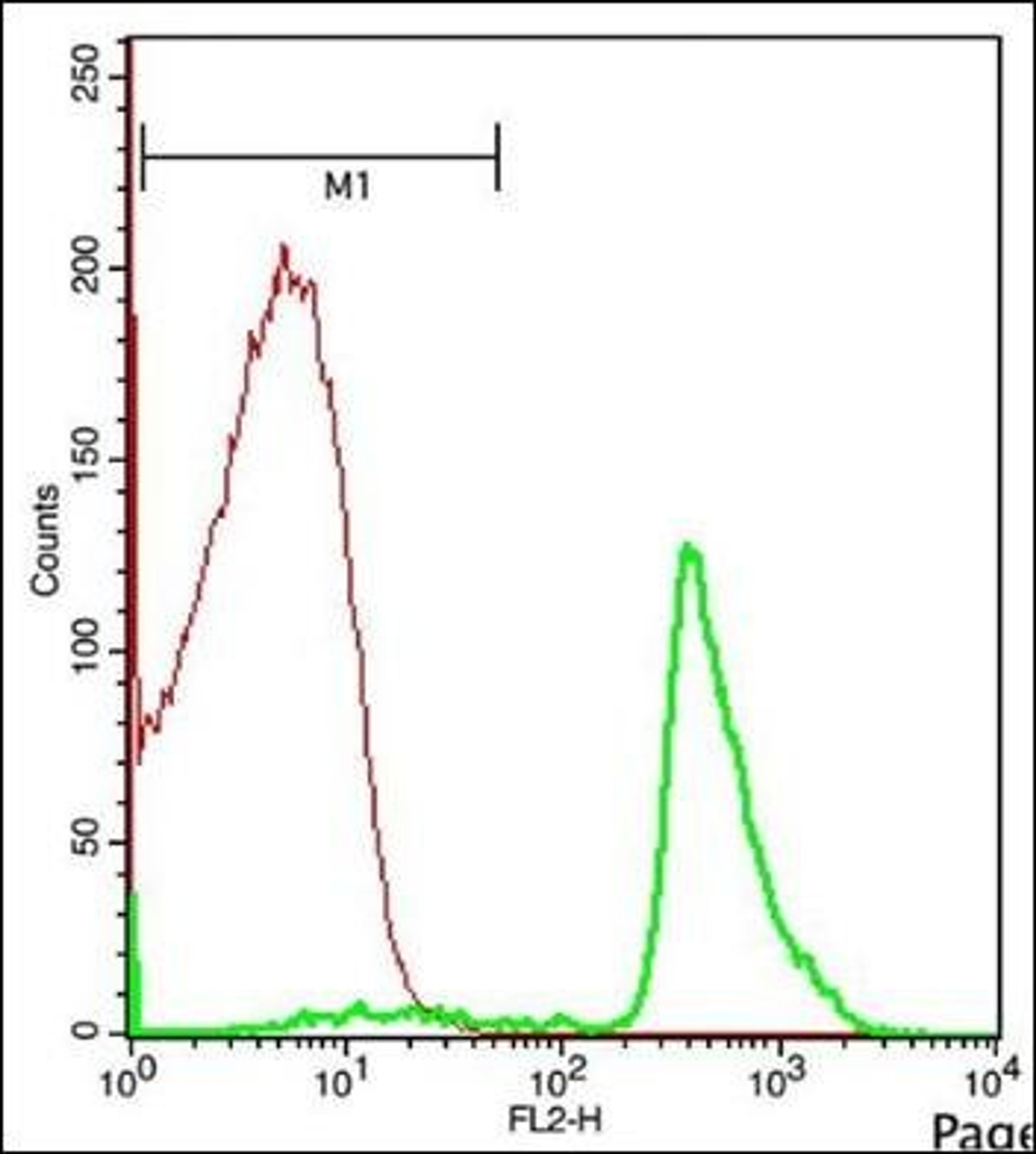 Flow cytometric analysis of Thymus Cell using cTnT antibody.