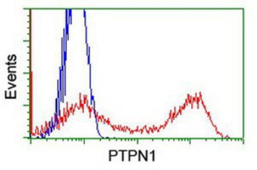 Flow Cytometry: PTPN1 Antibody (1D10) [NBP2-01056] - HEK293T cells transfected with either overexpression plasmid (Red) or empty vector control plasmid (Blue) were immunostained by anti-PTPN1 antibody, and then analyzed by flow cytometry.