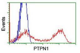 Flow Cytometry: PTPN1 Antibody (1D10) [NBP2-01056] - HEK293T cells transfected with either overexpression plasmid (Red) or empty vector control plasmid (Blue) were immunostained by anti-PTPN1 antibody, and then analyzed by flow cytometry.