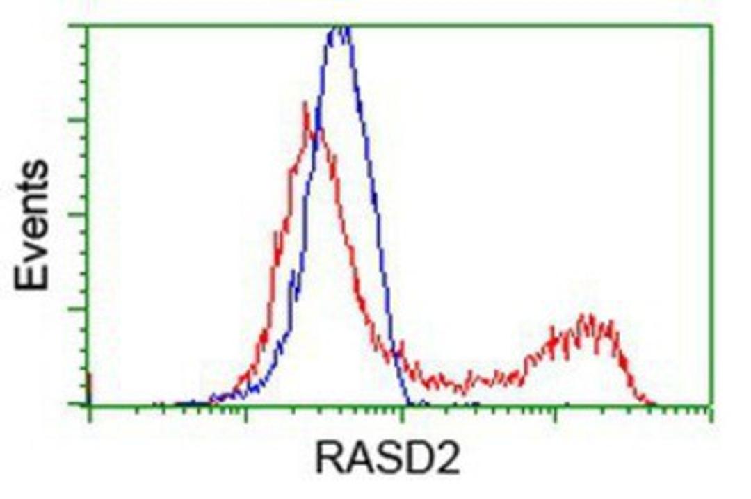 Flow Cytometry: RASD2 Antibody (1F7) [NBP2-03331] - HEK293T cells transfected with either overexpression plasmid (Red) or empty vector control plasmid (Blue) were immunostained by anti-RASD2 antibody, and then analyzed by flow cytometry.