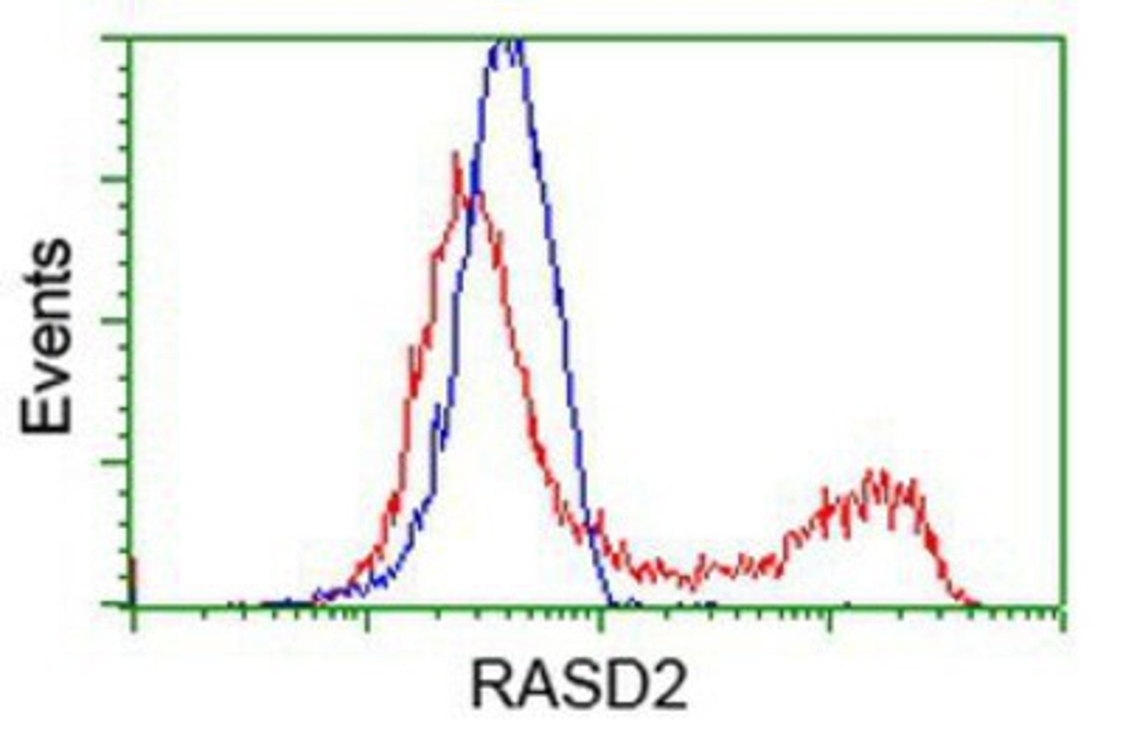 Flow Cytometry: RASD2 Antibody (1F7) [NBP2-03331] - HEK293T cells transfected with either overexpression plasmid (Red) or empty vector control plasmid (Blue) were immunostained by anti-RASD2 antibody, and then analyzed by flow cytometry.