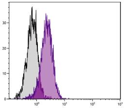 Human T lymphocyte cell line Jurkat was stained with Rabbit Anti-Human DR5-UNLB (Cat. No. 99-188) followed by Mouse Anti-Rabbit IgG-PE .