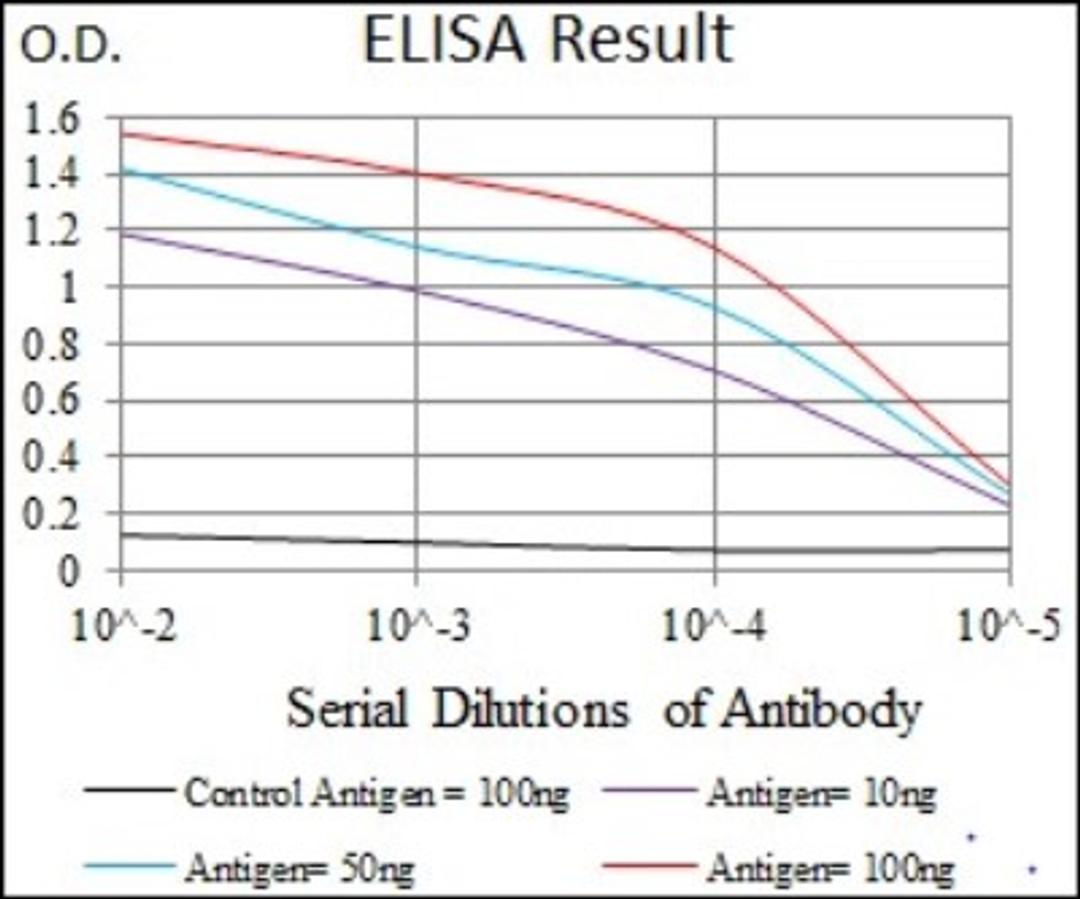 ELISA: ATP Citrate Lyase Antibody (5F8D11) [NBP2-37429] - Red: Control Antigen (100ng); Purple: Antigen (10ng); Green: Antigen (50ng); Blue: Antigen (100ng);