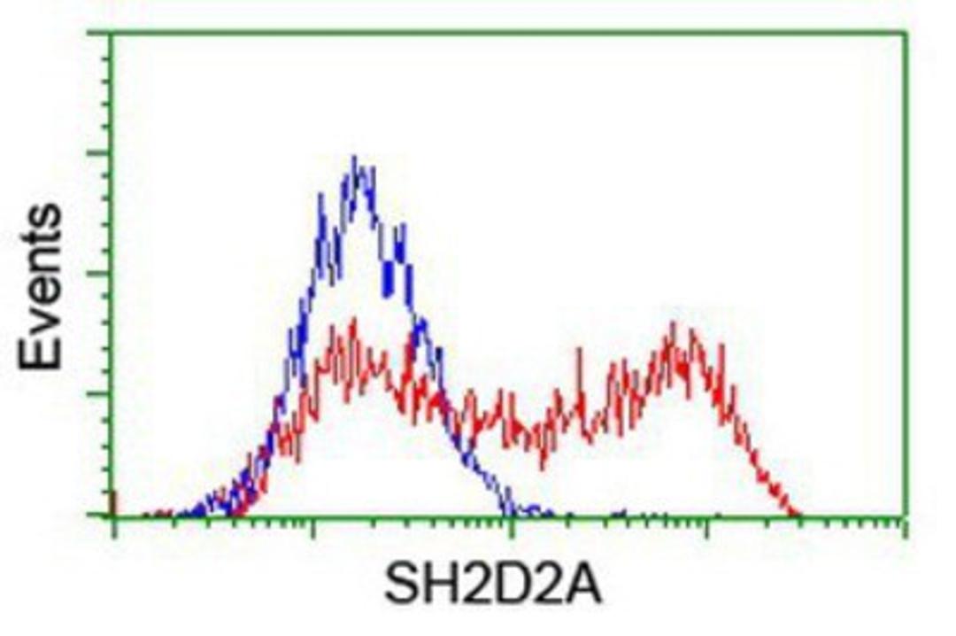 Flow Cytometry: SH2D2A Antibody (4F3) [NBP2-01828] - HEK293T cells transfected with either overexpression plasmid (Red) or empty vector control plasmid (Blue) were immunostained by anti-SH2D2A antibody, and then analyzed by flow cytometry.