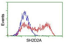 Flow Cytometry: SH2D2A Antibody (4F3) [NBP2-01828] - HEK293T cells transfected with either overexpression plasmid (Red) or empty vector control plasmid (Blue) were immunostained by anti-SH2D2A antibody, and then analyzed by flow cytometry.