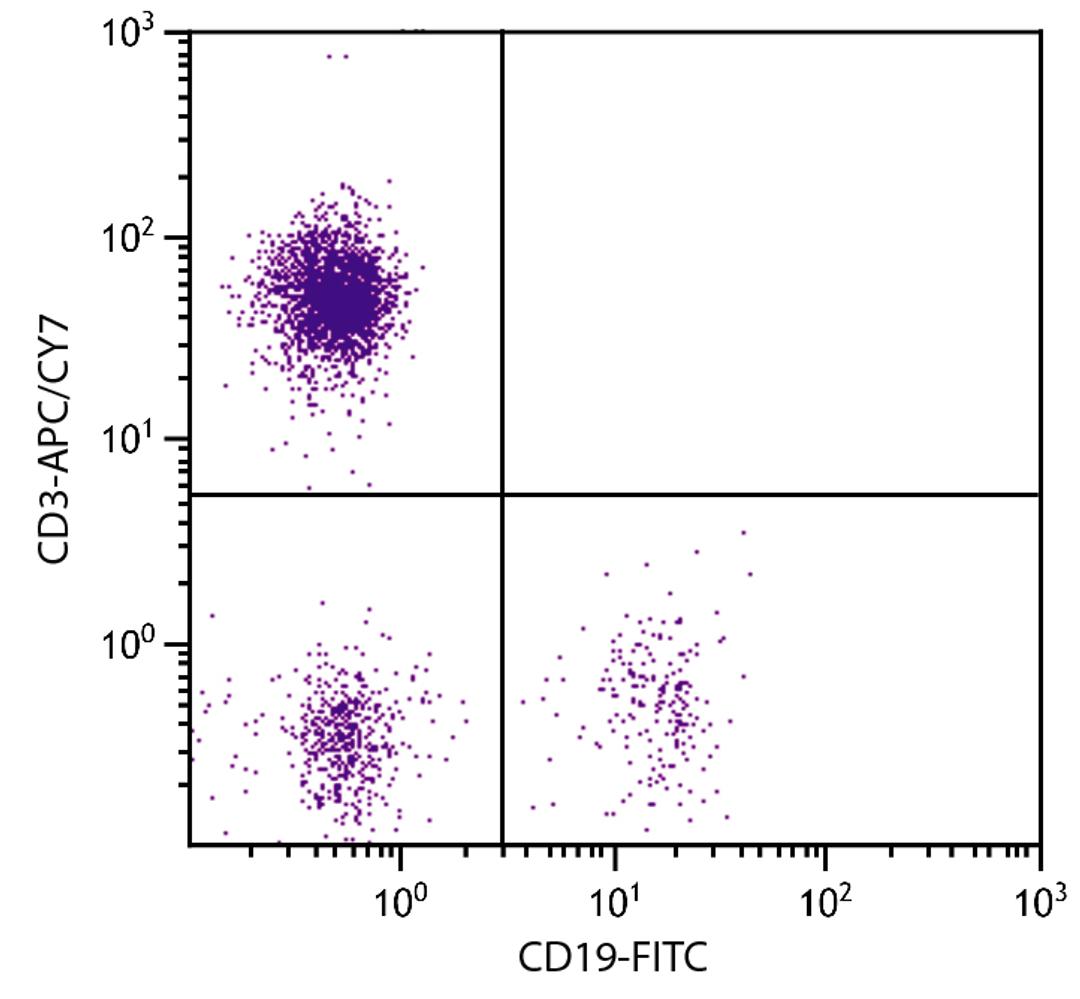 Human peripheral blood lymphocytes were stained with Mouse Anti-Human CD3-APC/CY7 (Cat. No. 99-422) and Mouse Anti-Human CD19-FITC .