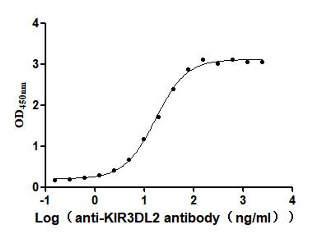 The Binding Activity of Human KIR3DL2 with Anti-KIR3DL2 Recombinant Antibody. Activity: Measured by its binding ability in a functional ELISA. Immobilized Human KIR3DL2(CSB-MP012365HU1) at 2 μg/mL can bind Anti-KIR3DL2 recombinant antibody , the EC<sub>50</sub> is 14.18-23.93 ng/mL.