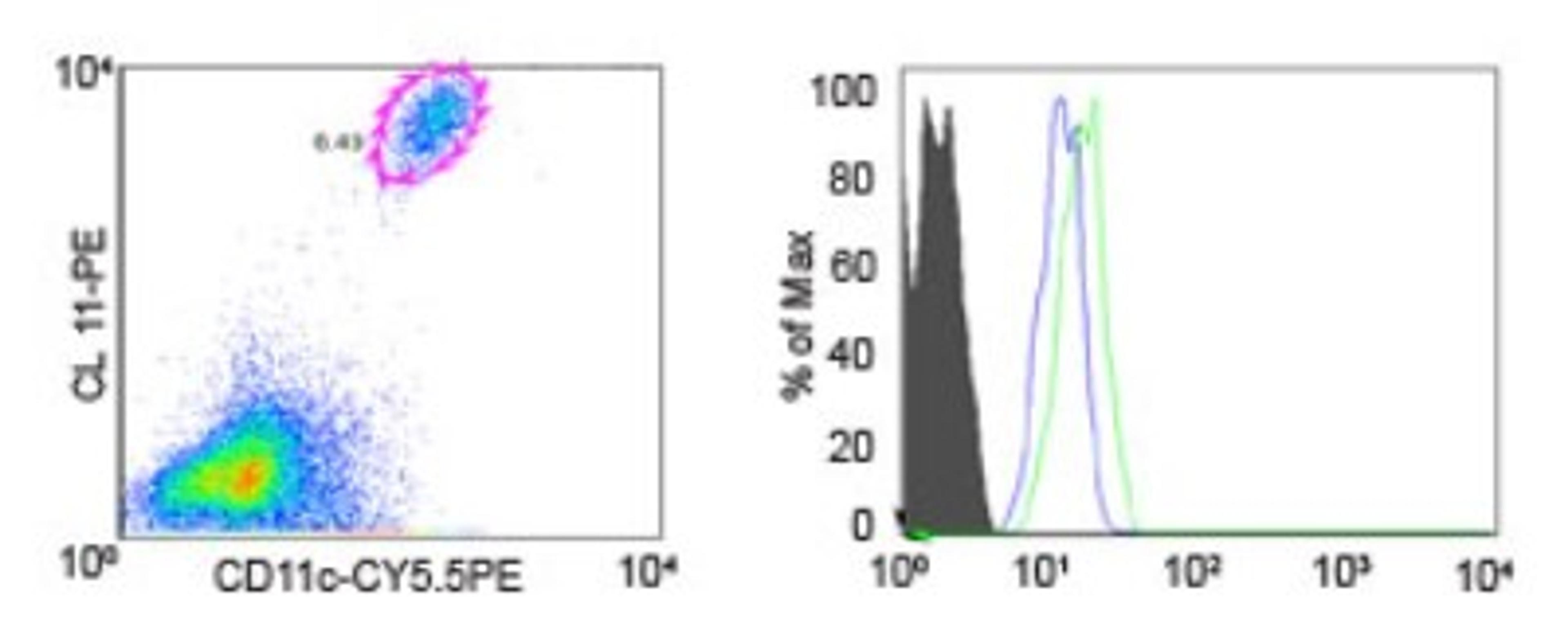 Flow Cytometry: CCR1 Antibody [NB100-56334] - Image 1: Surface staining of mouse primary epidermal cells (B-6 mice, 30wks) with CL 11-PE, CD11c PE-Cy5, and CCR1 (Langerans), stained with rabbit isotype control (shaded histogram) were analyzed for CCR1 at 5ul (blue histogram) and 10ul (green histogram). Data kindly provided by Corey Parlet, University of Iowa.