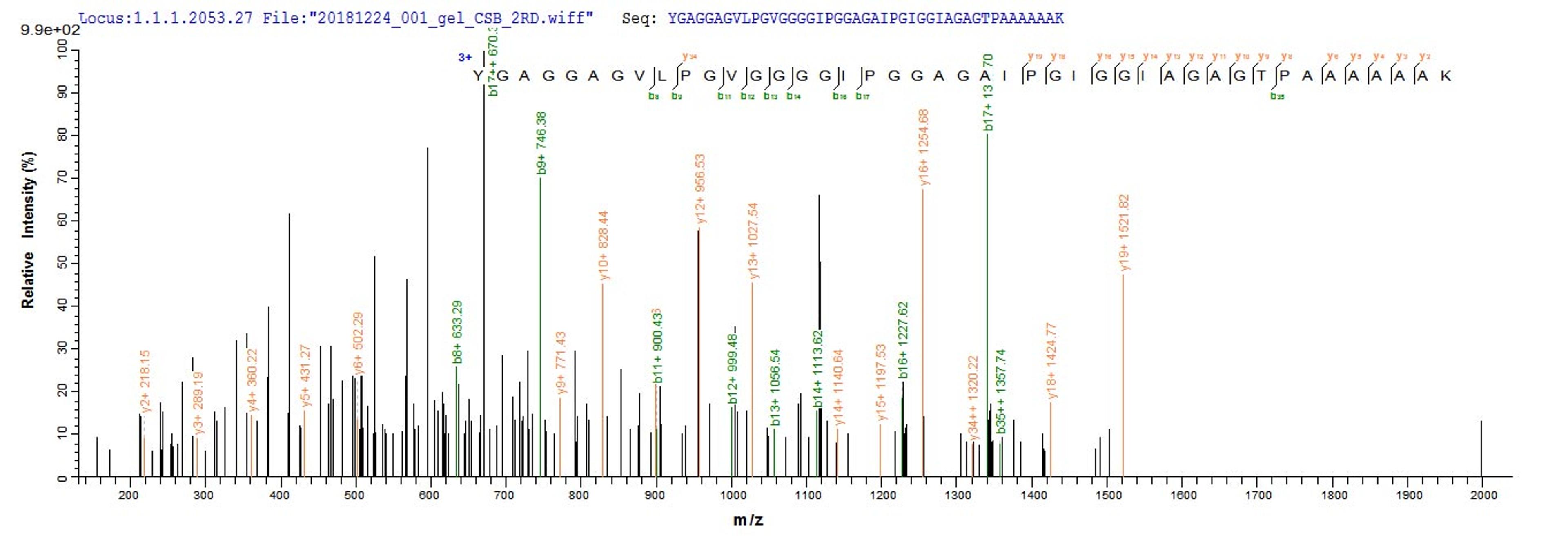Based on the SEQUEST from database of E.coli host and target protein, the LC-MS/MS Analysis result of CSB-EP007617MO could indicate that this peptide derived from E.coli-expressed Mus musculus (Mouse) Eln.