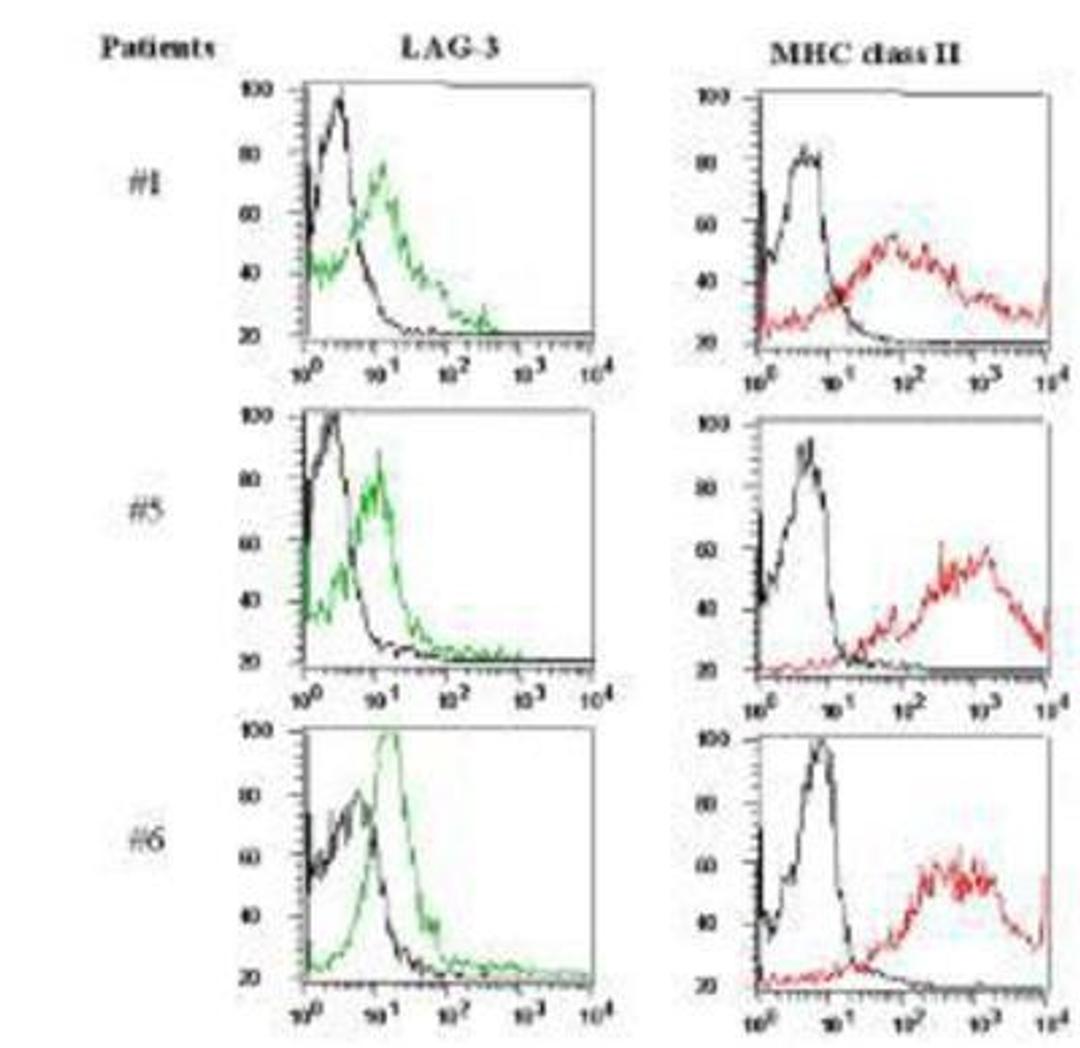 Flow Cytometry: LAG-3 Antibody (17B4) [NBP1-97657] - Analysis using the FITC conjugate of NBP1-97657. Tumor infiltrating lymphocytes (TILs) express LAG-3 (detected using LAG-3 (human), mAb (17B4). Method: Freshly dissociated single cell suspensions of renal cell carcinoma TILs are incubated with LAG-3 (huma