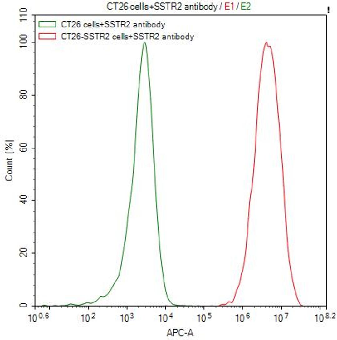 Untransfected CT26 cells (green line) and transfected Human SSTR2 CT26 stable cells (red line) were stained with anti-SSTR2 recombinant antibody (2µg/1*10<sup>6</sup>cells), washed and then followed by APC-conjugated anti-Human IgG Fc antibody and analyzed with flow cytometry.