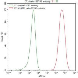 Untransfected CT26 cells (green line) and transfected Human SSTR2 CT26 stable cells (red line) were stained with anti-SSTR2 recombinant antibody (2µg/1*10<sup>6</sup>cells), washed and then followed by APC-conjugated anti-Human IgG Fc antibody and analyzed with flow cytometry.