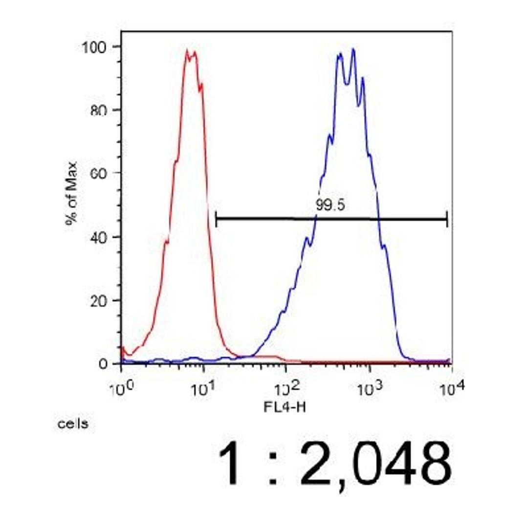 Flow Cytometry: ABCA7 Antibody (7A1-144) [NB400-163] - FACS analysis of 6C (red) (negative control HeLa cells) and A7 (blue) (ABCA7 expressing HeLa cells) using NB 400-163 at a 1:2,000 dilution.