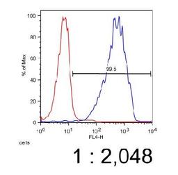 Flow Cytometry: ABCA7 Antibody (7A1-144) [NB400-163] - FACS analysis of 6C (red) (negative control HeLa cells) and A7 (blue) (ABCA7 expressing HeLa cells) using NB 400-163 at a 1:2,000 dilution.