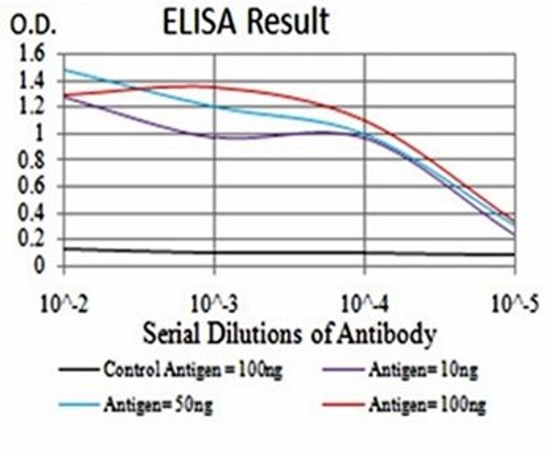 ELISA Black line: Control Antigen (100 ng); Purple line: Antigen(10ng); Blue line: Antigen (50 ng); Red line: Antigen (100 ng)