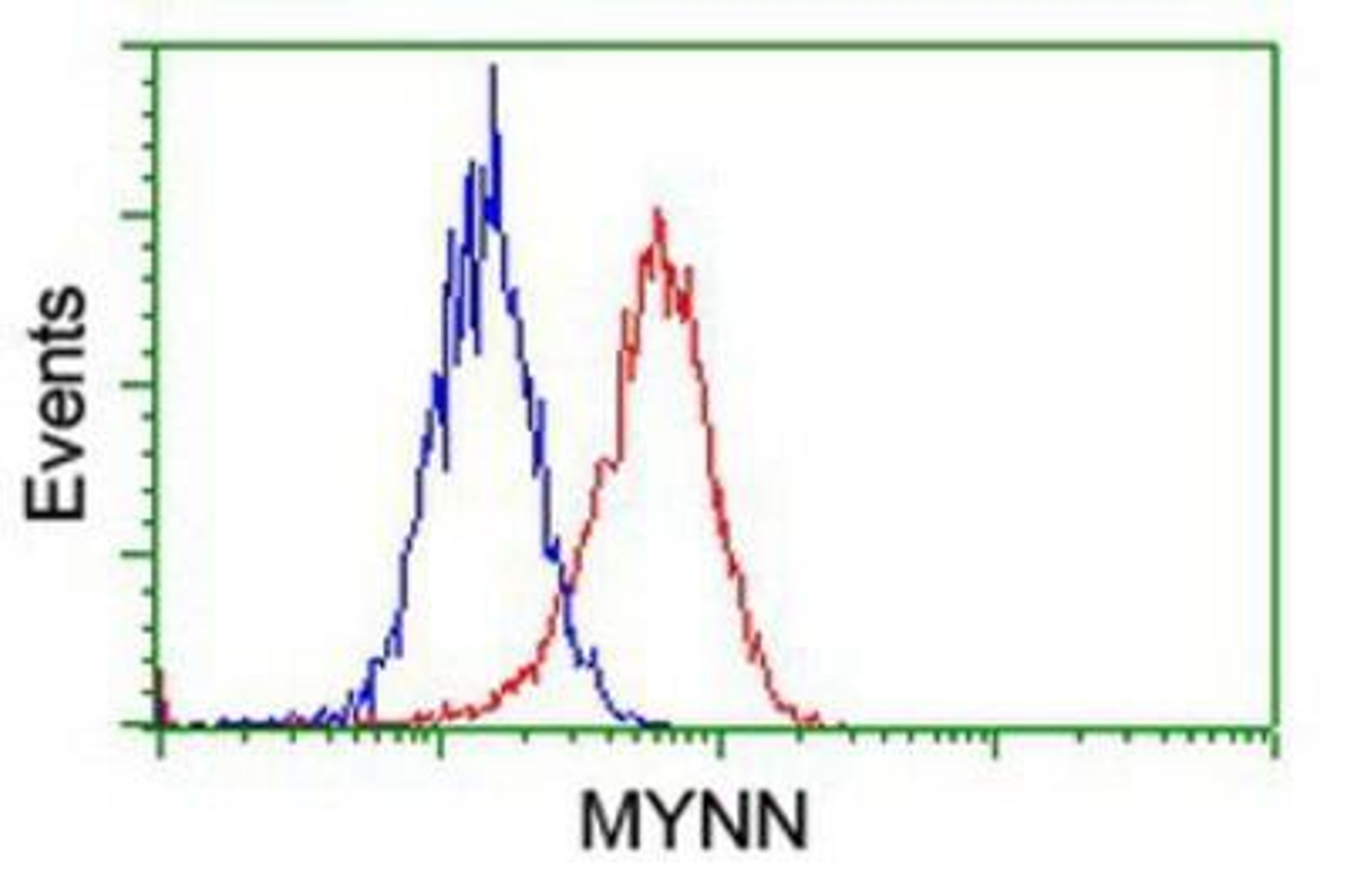 Flow Cytometry: Myoneurin Antibody (1F10) [NBP2-03899] - Analysis of Hela cells, using anti-Myoneurin antibody, (Red), compared to a nonspecific negative control antibody (Blue).