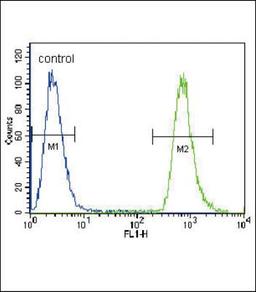 Flow Cytometry: NEU2 Antibody [NBP2-30039] - Flow cytometric analysis of A549 cells (right histogram) compared to a negative control cell (left histogram).FITC-conjugated goat-anti-rabbit secondary antibodies were used for the analysis.