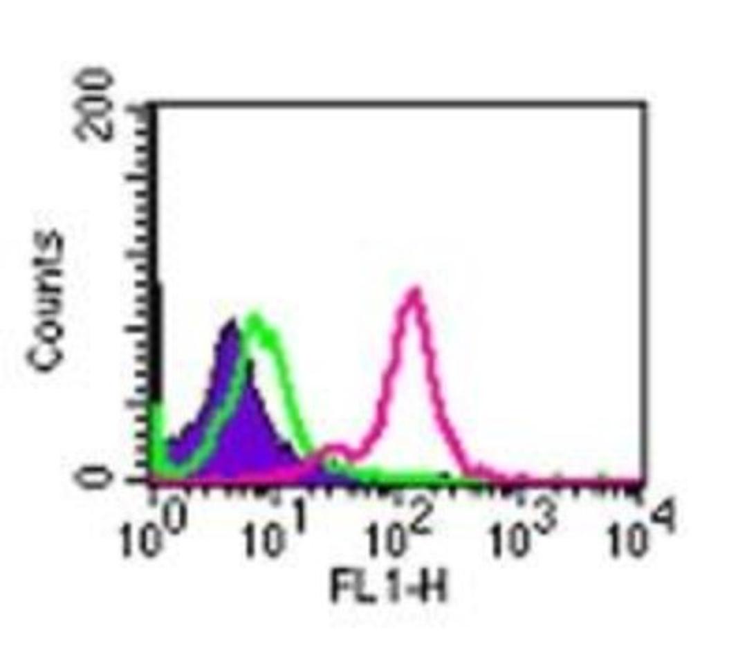 Flow Cytometry: TLR2 Antibody (1030A5.138) [NB100-56728] - Analysis of TLR2 in 10^6 ThP1 cells using 5 ul of NB100-56728.  The shaded histogram represents ThP1 cells with no antibody present; green represents isotype control); red represents NB100-56728 antibody.