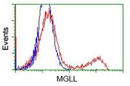 Flow Cytometry: Monoglyceride Lipase Antibody (2B11) [NBP2-00735] - HEK293T cells transfected with either overexpression plasmid (Red) or empty vector control plasmid (Blue) were immunostained by anti-Monoglyceride Lipase antibody, and then analyzed by flow cytometry.