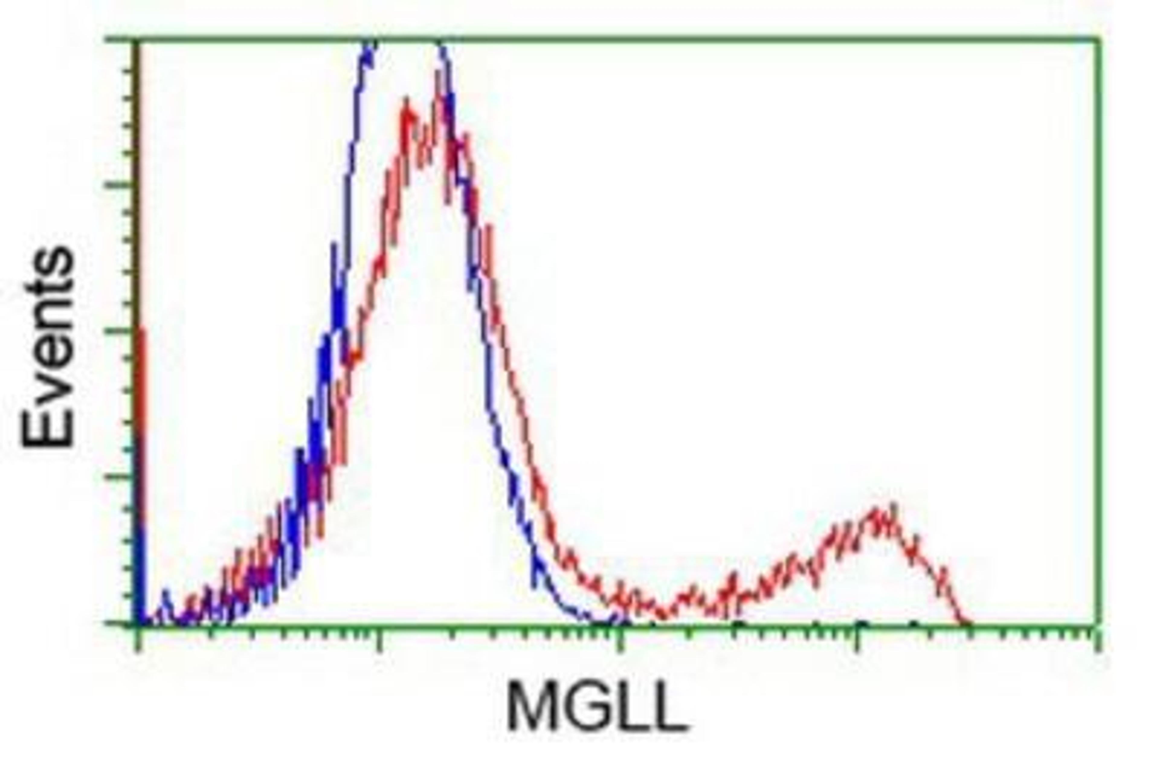 Flow Cytometry: Monoglyceride Lipase Antibody (2B11) [NBP2-00735] - HEK293T cells transfected with either overexpression plasmid (Red) or empty vector control plasmid (Blue) were immunostained by anti-Monoglyceride Lipase antibody, and then analyzed by flow cytometry.