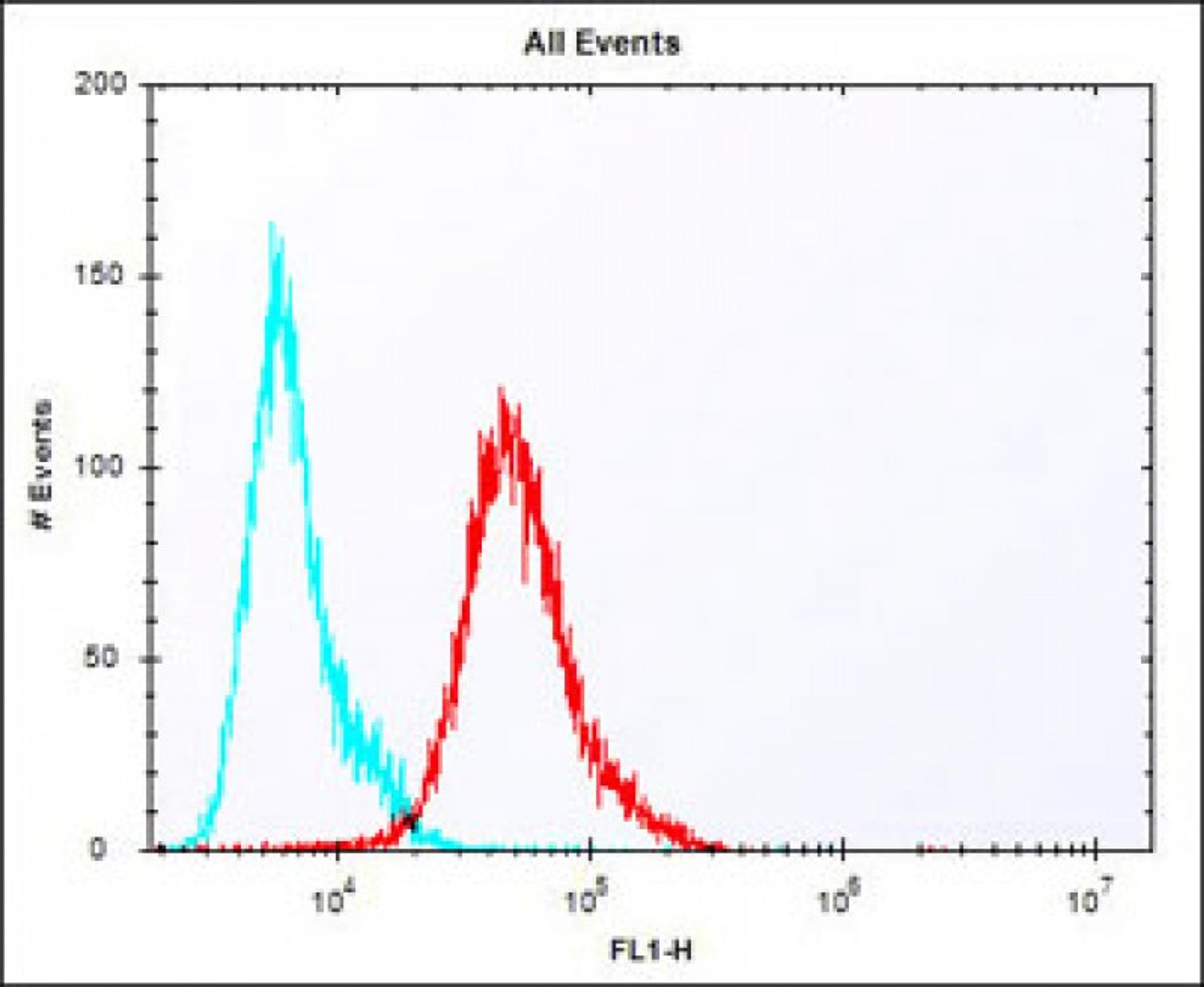 Overlay histogram showing A431 cells stained with Antibody (red line). The cells were fixed with 2% paraformaldehyde (10 min) and then permeabilized with 90% methanol for 10 min. The cells were then icubated in 2% bovine serum albumin to block non-specifi