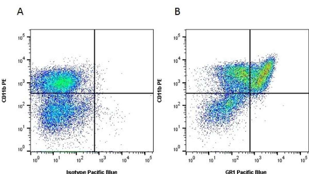 Figure A. Rat anti Mouse CD11b. Figure B. Rat anti Mouse CD11b and Rat anti Mouse GR-1.