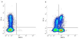 Figure A. Mouse anti Human CD8. Figure B. Mouse anti Human CD8 and Rat anti Human CD3. 