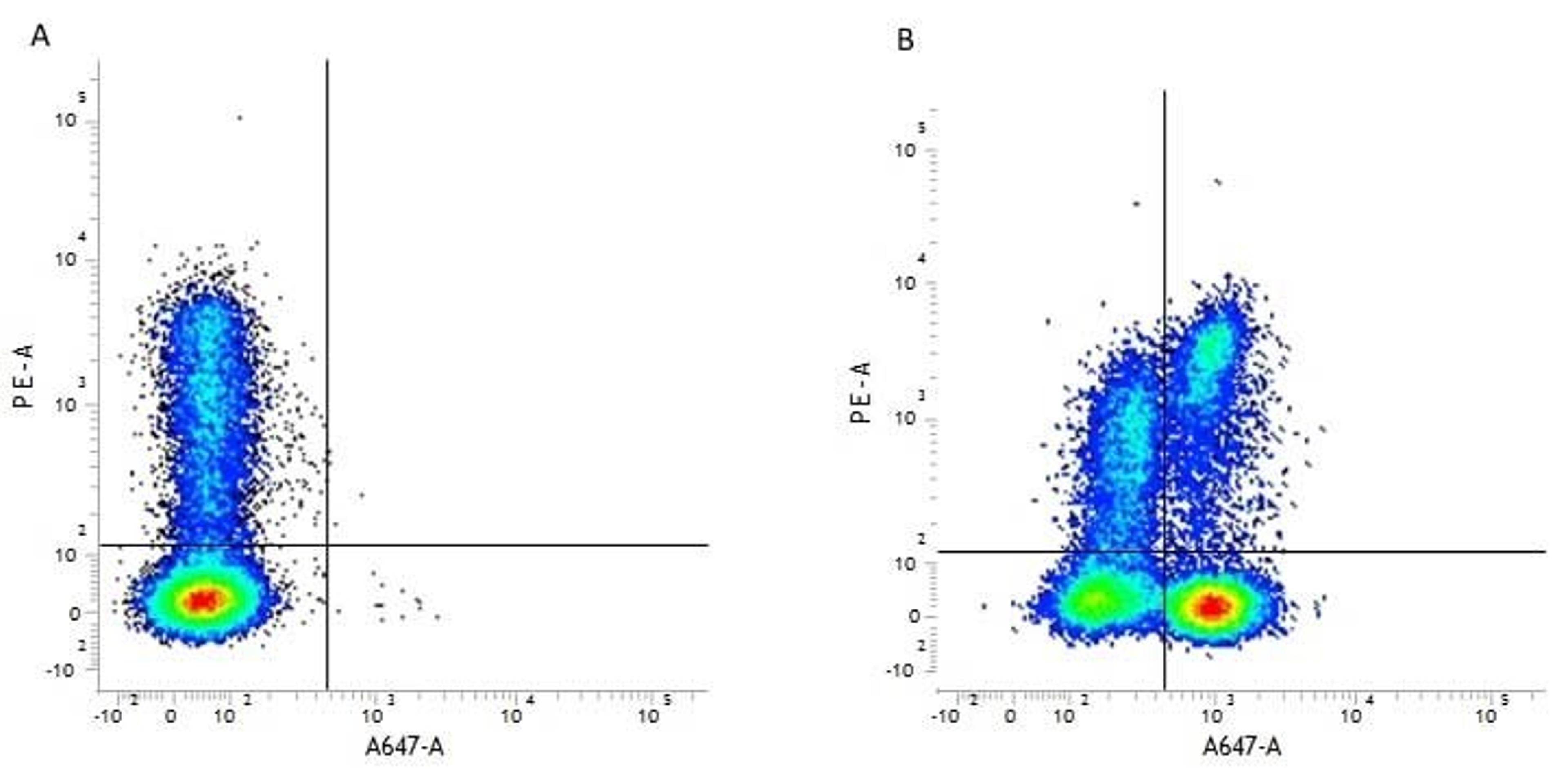 Figure A. Mouse anti Human CD8. Figure B. Mouse anti Human CD8 and Rat anti Human CD3.