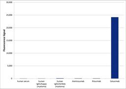 Human anti cetuximab specificity ELISA