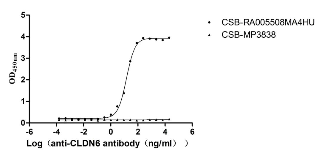 The Binding Activity of Human CLDN6 with Anti-CLDN6 recombinant antibody. Activity: Measured by its binding ability in a functional ELISA. Immobilized Human CLDN6 (CSB-MP005508HU(A4)) at 10 μg/mL can bind Anti-CLDN6 recombinant antibody. The EC<sub>50</sub> is 12.95-16.18 ng/mL. The VLPs (CSB-MP3838) is negative control.